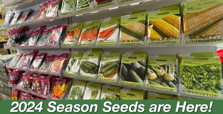 2024 Season Seeds are Here