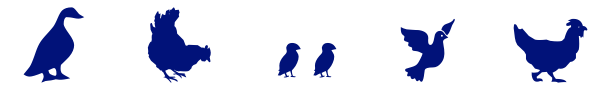 Poultry and Bird Icons