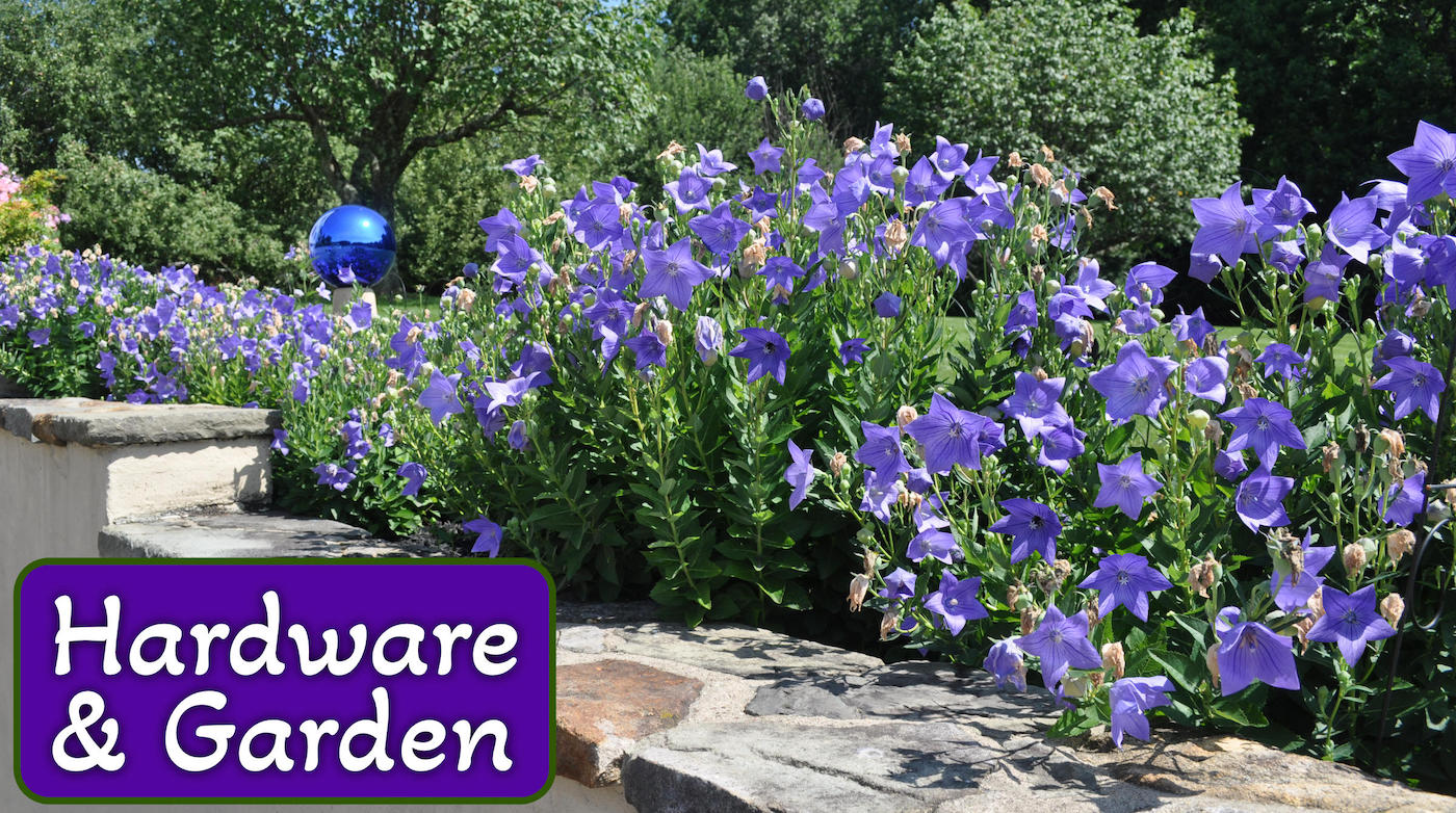 Garden at a residence with text that reads 