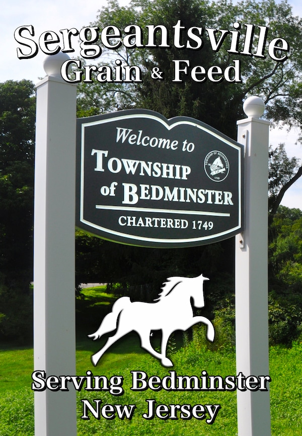 A green sign that says “Welcome to Township of Bedminster” with overlaying text that reads “Sergeantsville Grain & Feed Serving Bedminster New Jersey”, displayed above a graphic of a horse.
