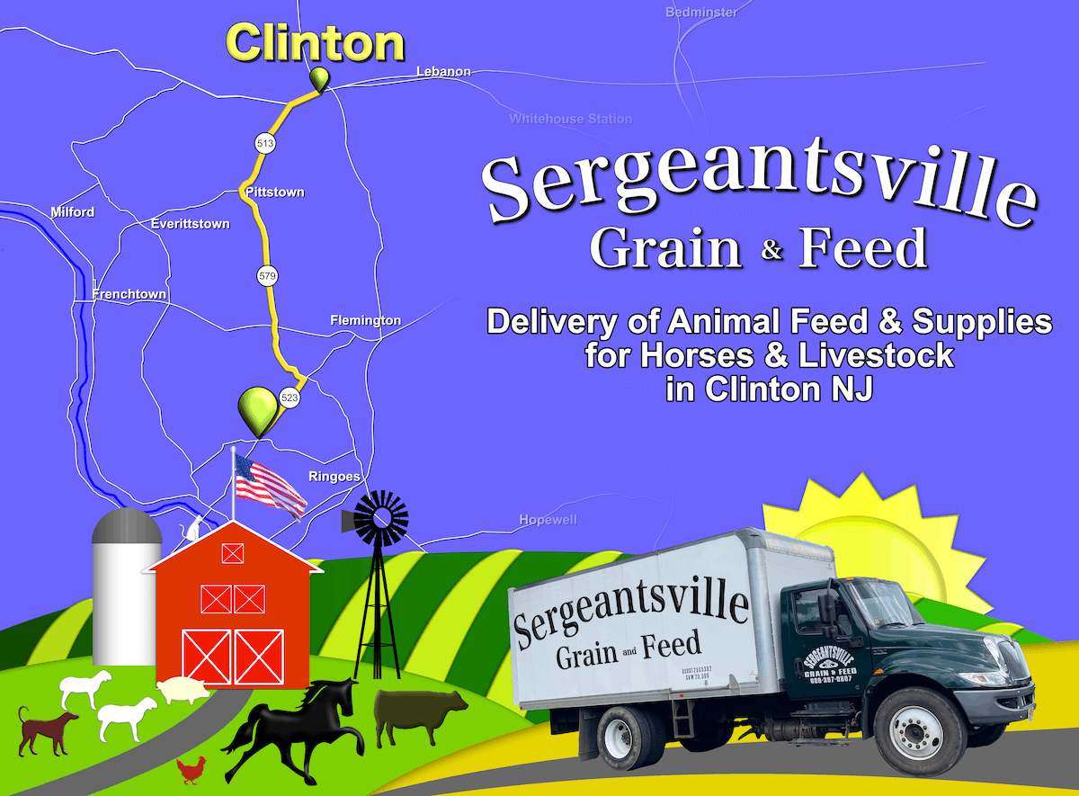 Graphic showing a barn and farm animals with a map of our route to Clinton. The graphic is overlayed by text that reads: Sergeantsville Grain & Feed, Delivery of Animal Feed and Supplies for Horses and Livestock in Clinton New Jersey