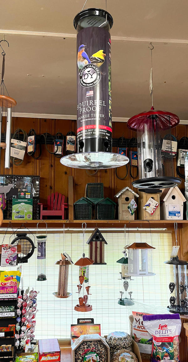 Bird feeders and houses
