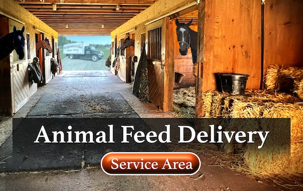 Horses in stalls with our truck in the background and text that reads Animal Feed Delivery Service Area