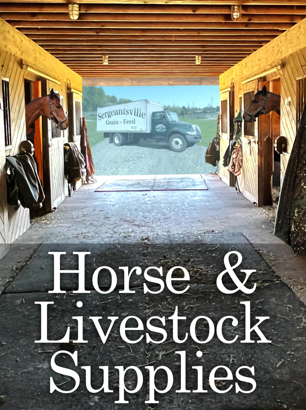 Horses in a stable with our animal feed delivery truck behind the barn door