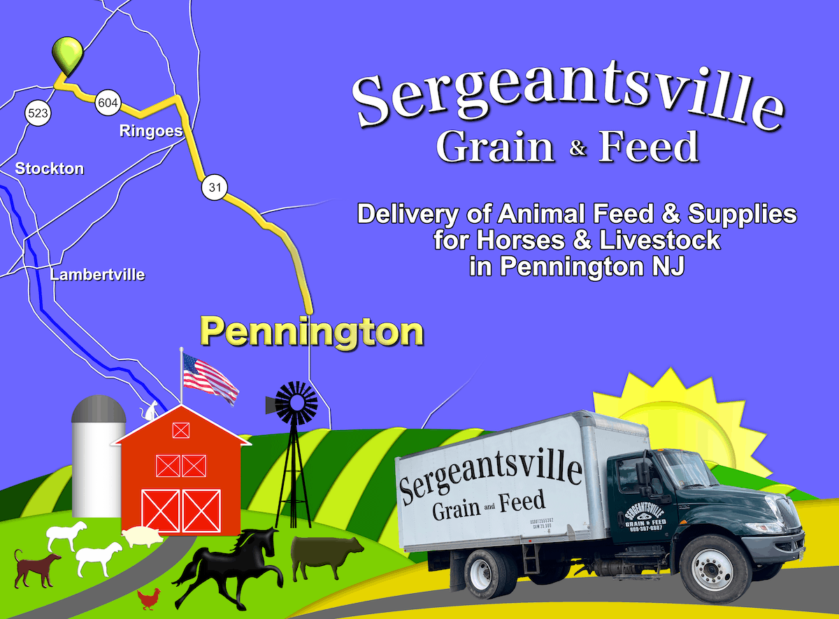 Graphic showing a barn and farm animals with a map of our route to Pennington. The graphic is overlayed by text that reads: Sergeantsville Grain & Feed, Delivery of Animal Feed and Supplies for Horses and Livestock in Pennington New Jersey